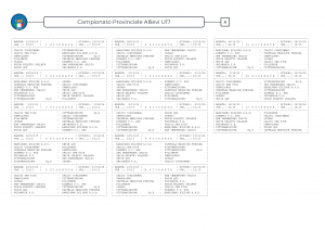 2025-26 Campionato Provinciale Allievi U17 Gir.A_Pagina_1